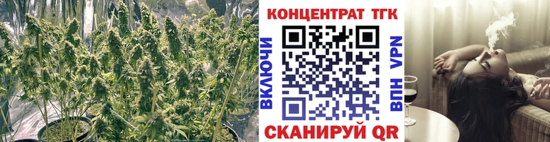 Дистиллят ТГК концентрат  Купить где  Кировск 