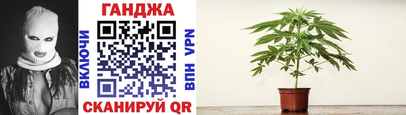Конопля план  Купить где  Кировск 